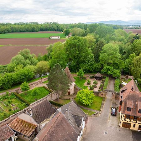 La Ruine - Gite D'Alsace Jusqu'A 10 Personnes Avec Spa Interieur Guémar Exteriör bild
