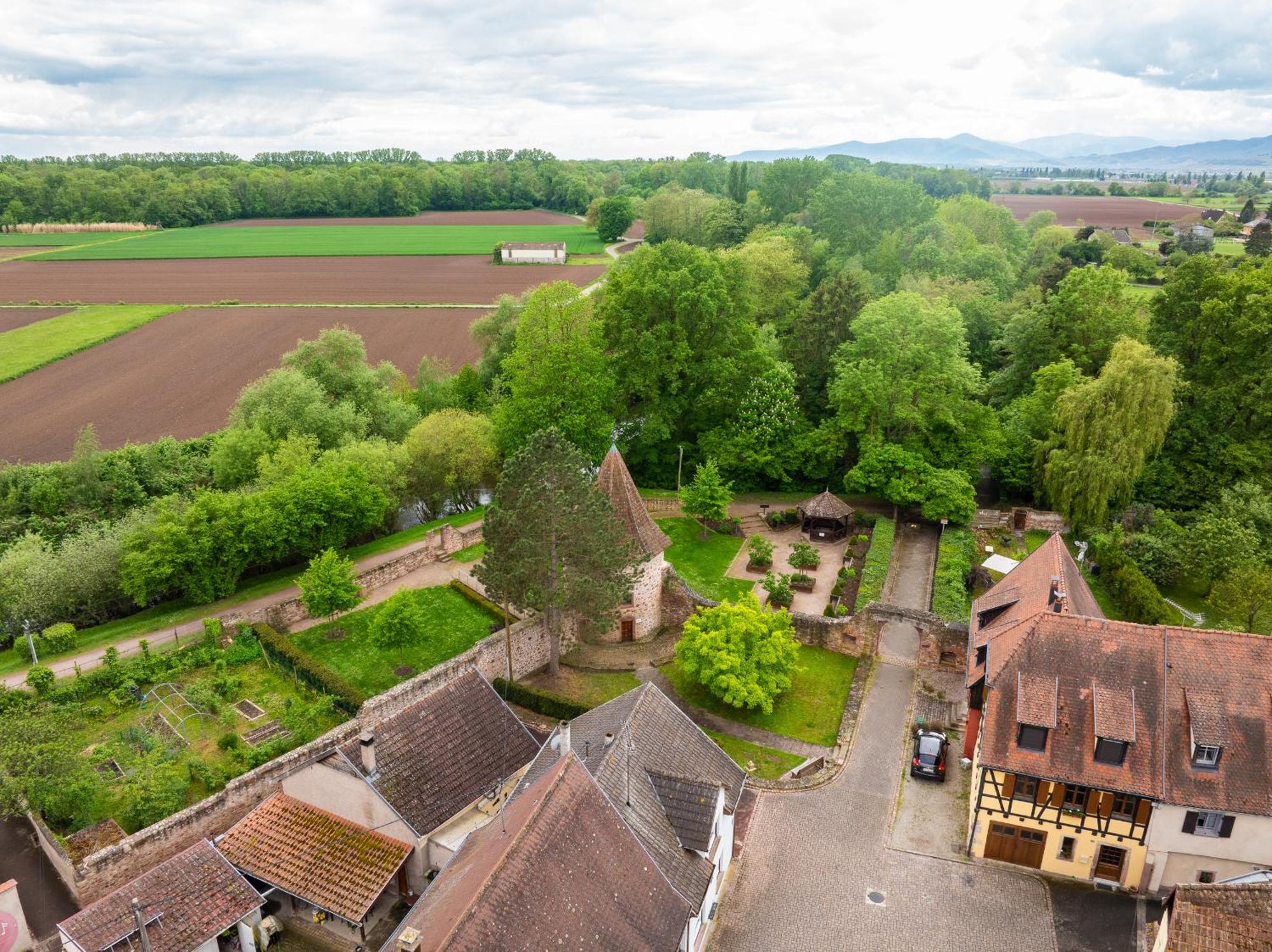 La Ruine - Gite D'Alsace Jusqu'A 10 Personnes Avec Spa Interieur Guémar Exteriör bild